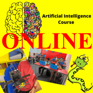 STEMLOOK Online artificial intelligence advanced coding class